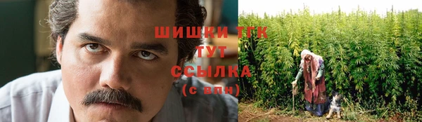 шишки Баксан
