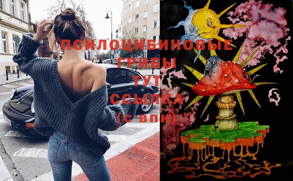 шишки Баксан
